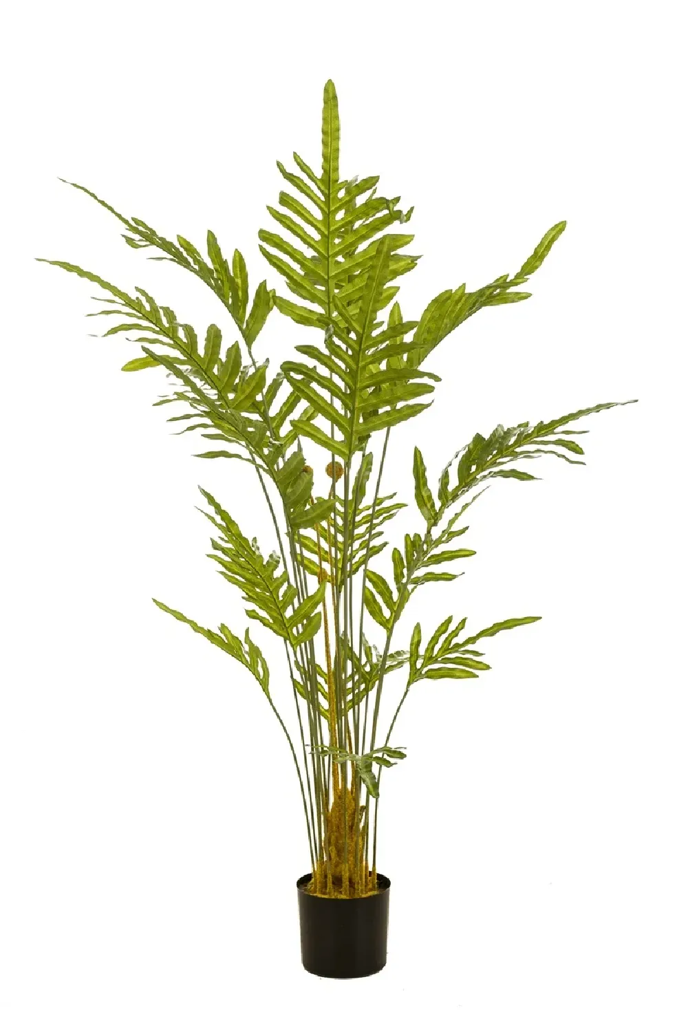 Potted Faux Frond Plants (2) | Emerald Fern