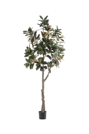 Potted Green Artificial Trees (2) XL | Emerald Magnolia Denudata